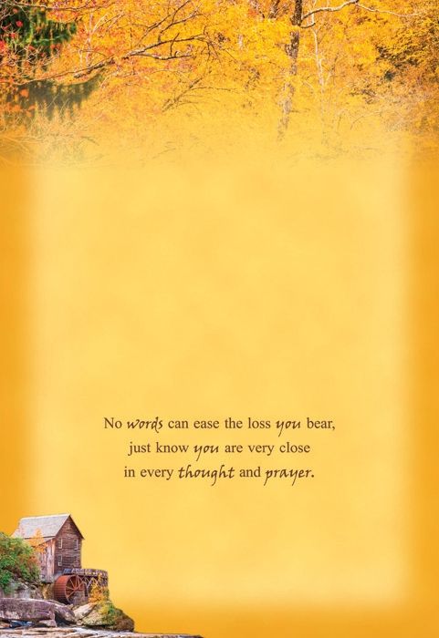 540-0144 Product Image 5