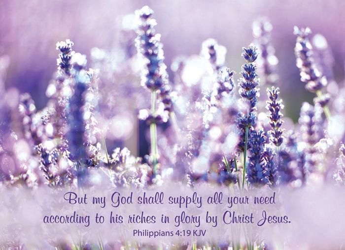 540-0144 Product Image 6