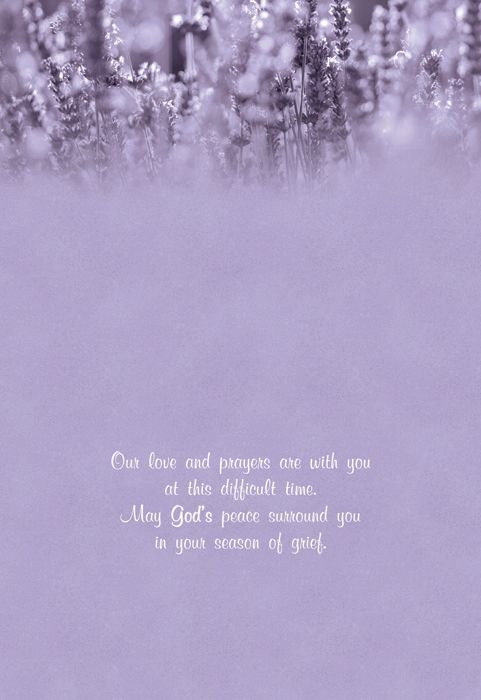 540-0144 Product Image 7