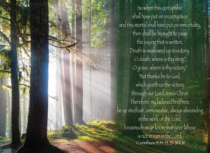 540-0144 Product Image 8