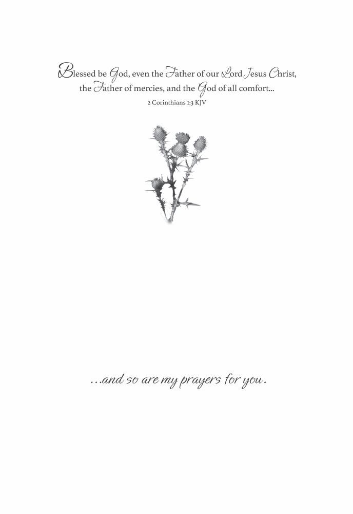 Product 540-0145 - View 5 540-0145 Product Image 5