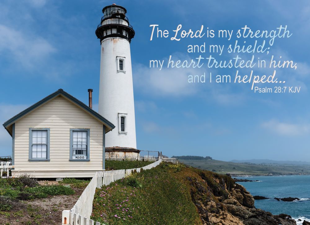 540-0146 Product Image 2