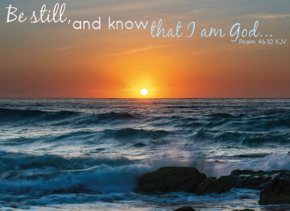 540-0146 Product Image 6