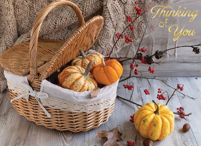 540-0148 Product Image 4