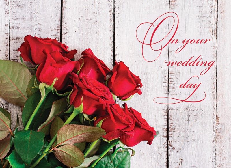 540-0150 Product Image 6