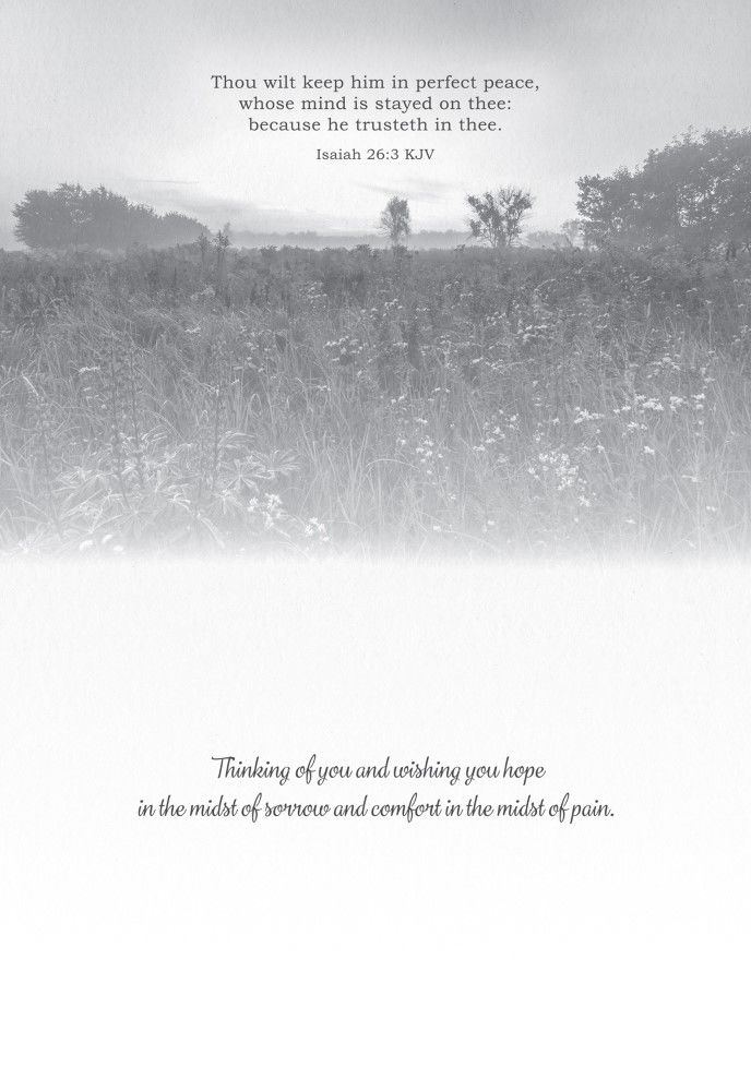 Product 540-0158 - View 3 540-0158 Product Image 3