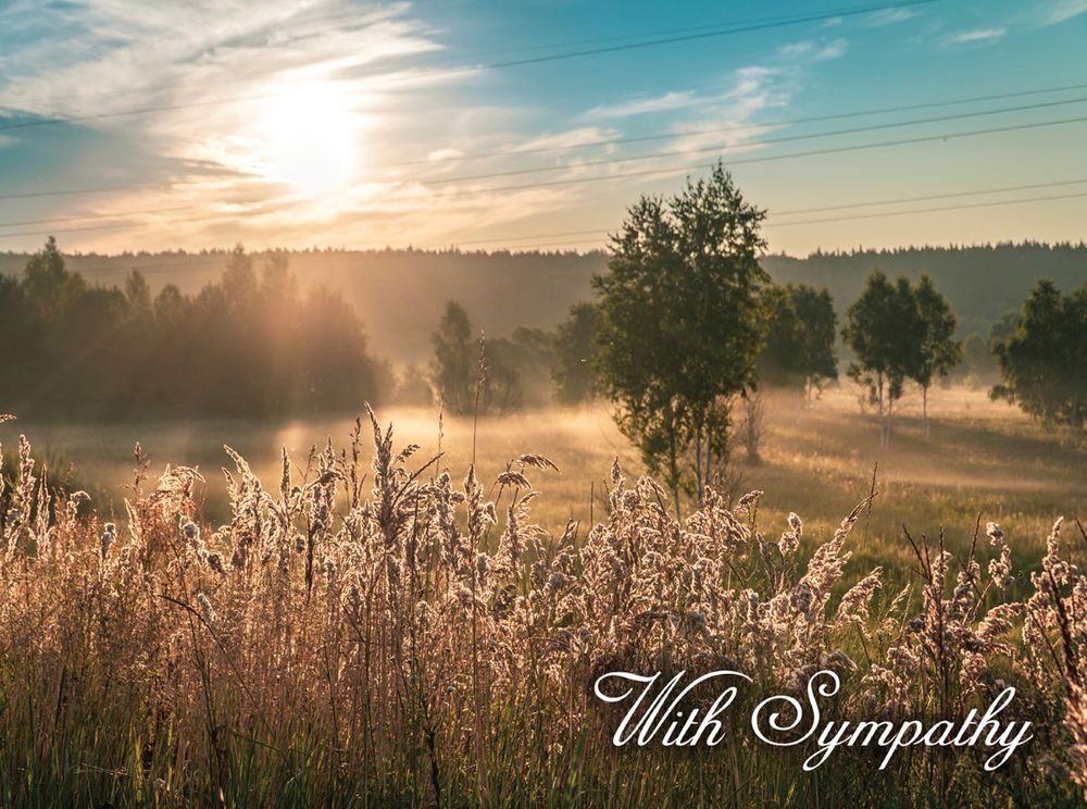 Product 540-0158 - View 6 540-0158 Product Image 6