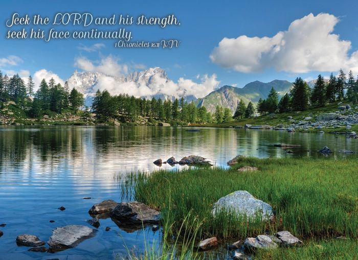 540-0159 Product Image 4