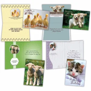 Fur & Feathers - Children's Birthday Cards