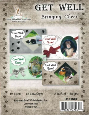 Bringing Cheer - Get Well Cards