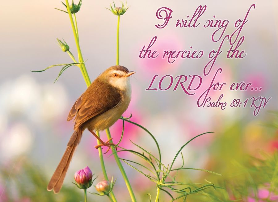 540-0248 Product Image 6