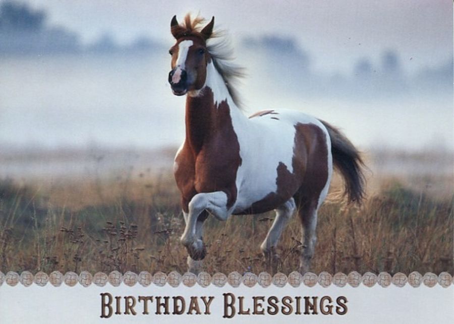 540-0282 Product Image 2