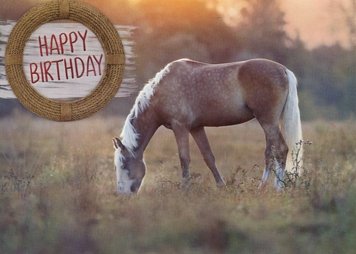 540-0282 Product Image 5