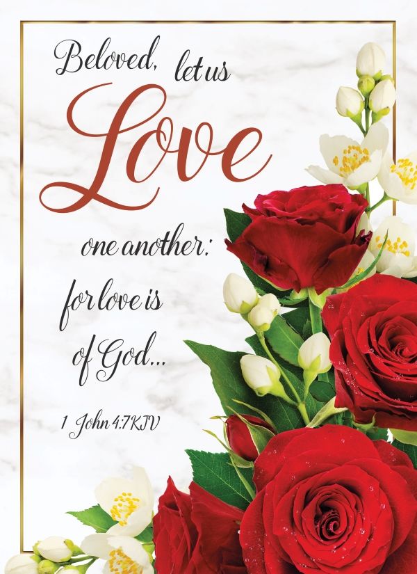 540-0288 Product Image 4