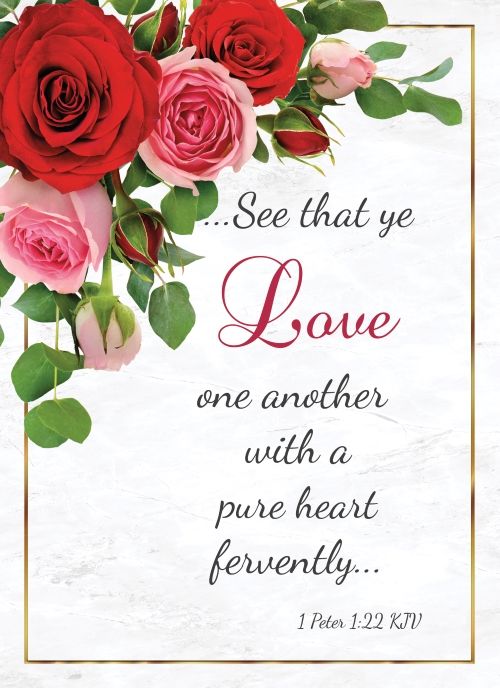 540-0288 Product Image 5