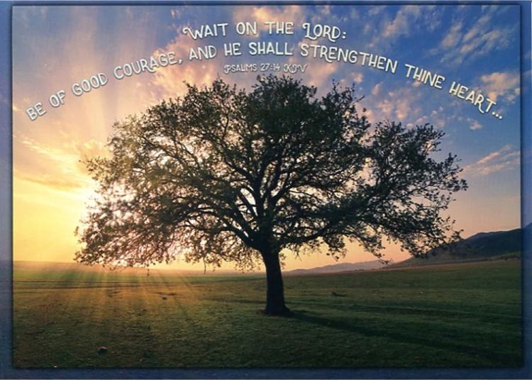 540-0311 Product Image 2