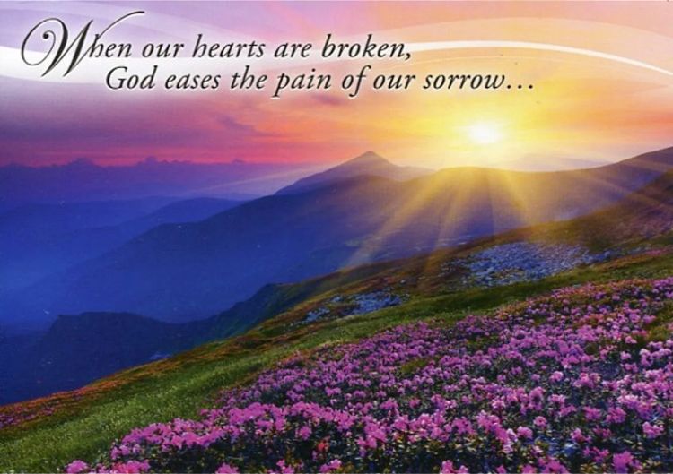 540-0313 Product Image 2