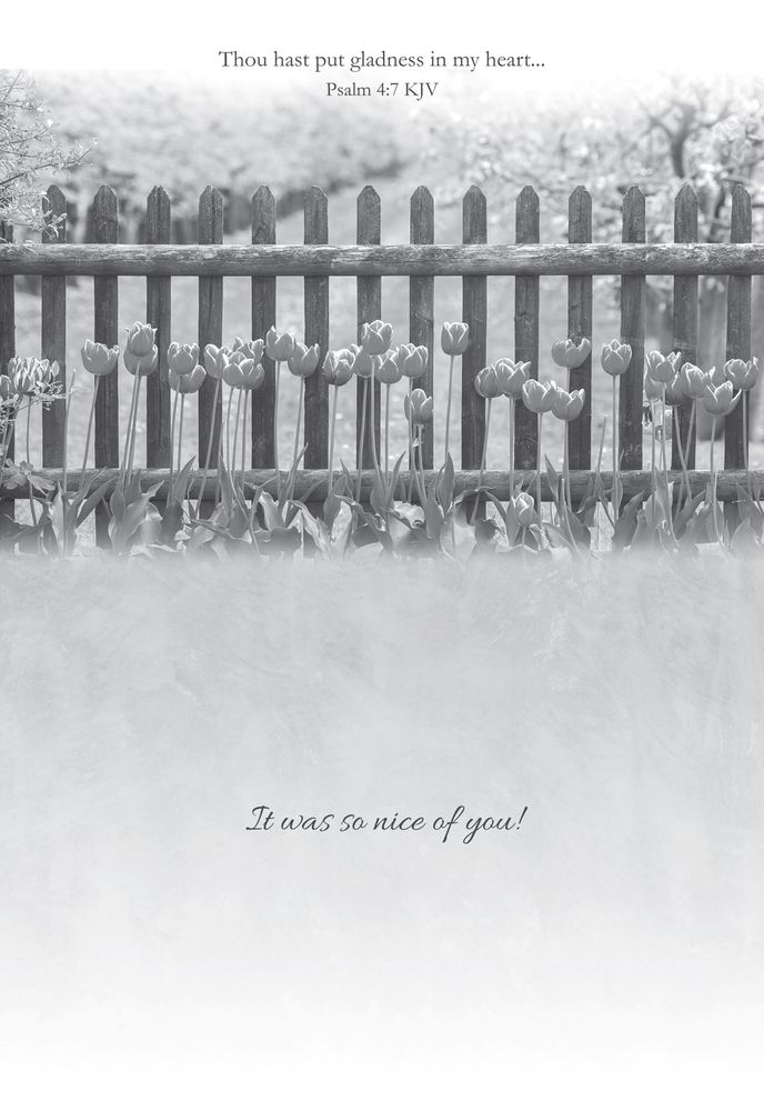 540-0315 Product Image 4