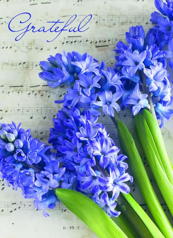 540-0315 Product Image 6