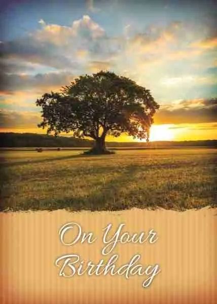 540-0316 Product Image 4