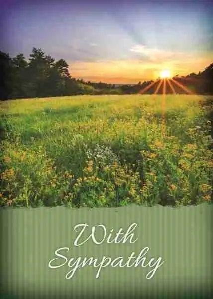 540-0316 Product Image 5