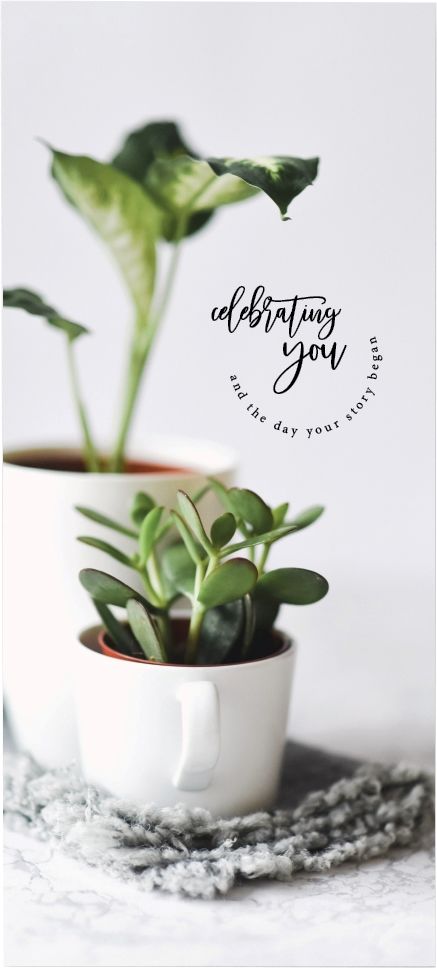 Product 540-0317 - View 1 540-0317 Product Image 1