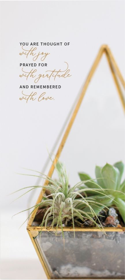 Product 540-0317 - View 2 540-0317 Product Image 2