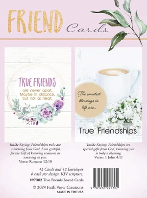 Friend Boxed Friendship Cards
