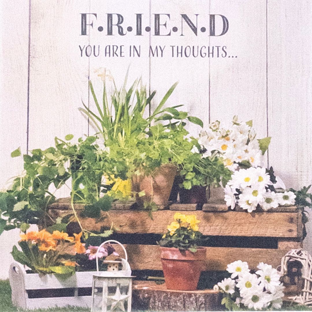 Friendship Card