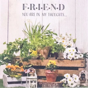 Friendship Card