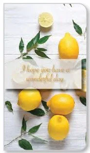 Lemons Premium Note Cards 3 pk