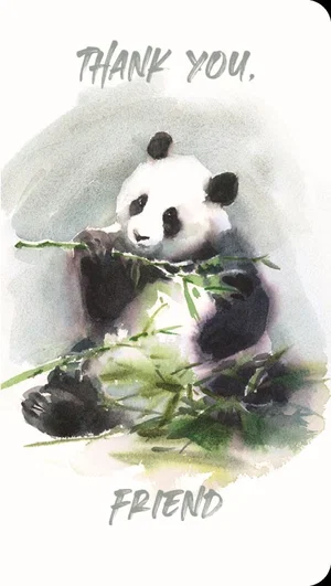 Panda Premium Note Cards 3 pk.