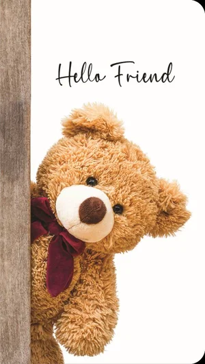 Hello Friend Premium Note Cards 3 pk.