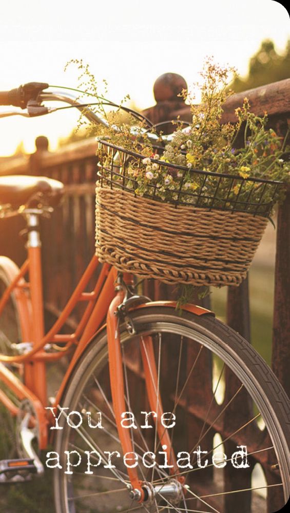 540-0359 Product Image 1