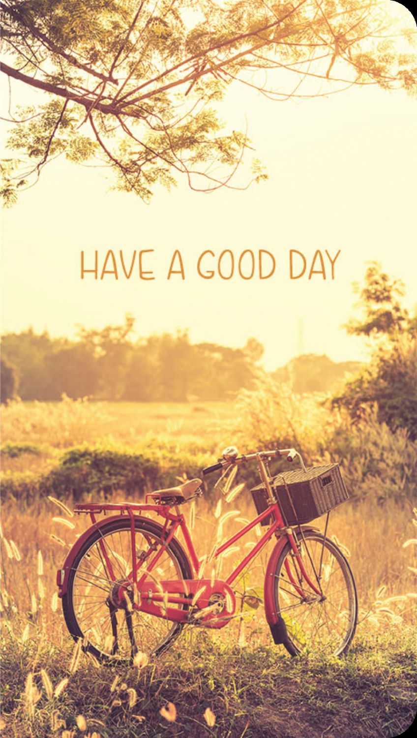 540-0360 Product Image 1