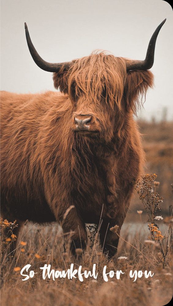 540-0362 Product Image 1