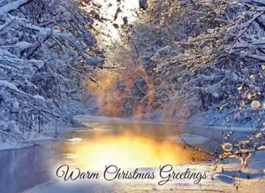 Waterscapes Boxed Christmas Cards 12 pk.