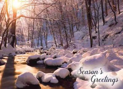 540-0369 Product Image 3