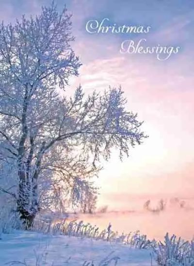 540-0369 Product Image 4