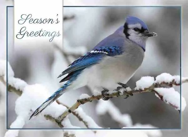 540-0370 Product Image 2