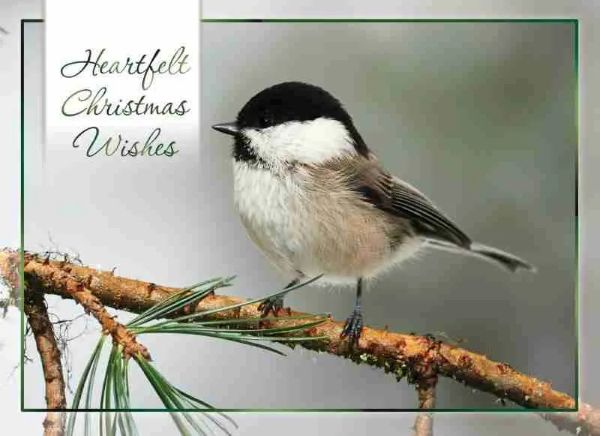 540-0370 Product Image 4