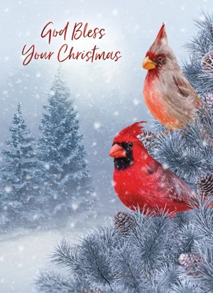 Bird Songs Boxed Christmas Cards 12 pk.
