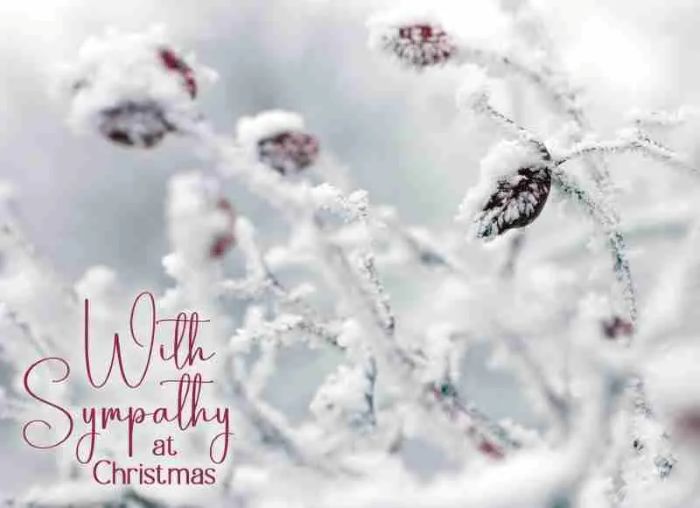 540-0372 Product Image 2