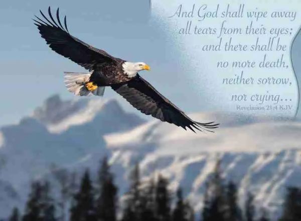 540-0377 Product Image 4