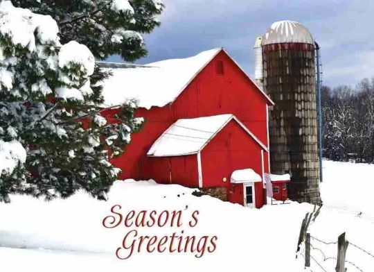 540-0387 Product Image 4