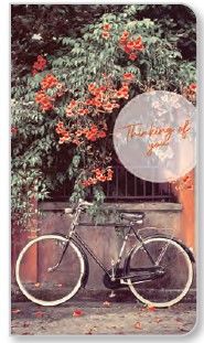 Orange Blossom Premium Note Cards 3 pk.
