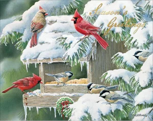 Cardinal Christmas Boxed Cards