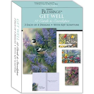 GET WELL III - Assorted Get Well Cards, Box of 12