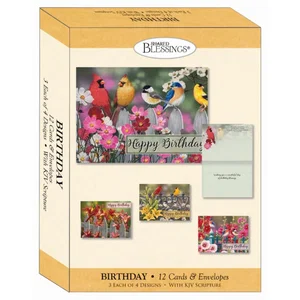 Boxed Birthday Cards - Birds
