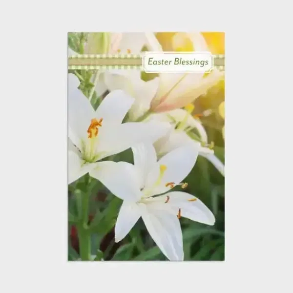540-0487 Product Image 4
